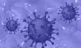 Coronavírus: atendimento na sede deve ser evitado