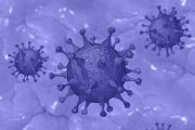 Coronavírus: atendimento na sede deve ser evitado