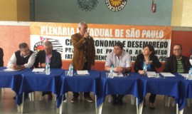 Diretores do SINBIESP participam de plenária sobre o Programa de Proteção ao Emprego